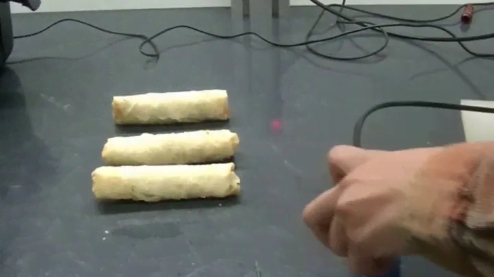 Handling egg rolls with vacuum - Piab